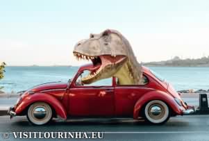 About Lourinh&atilde;